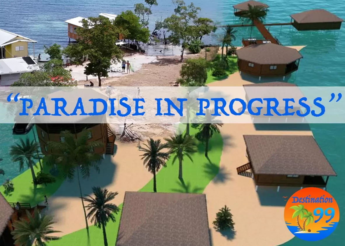 PARADISEINPROGESSPIC