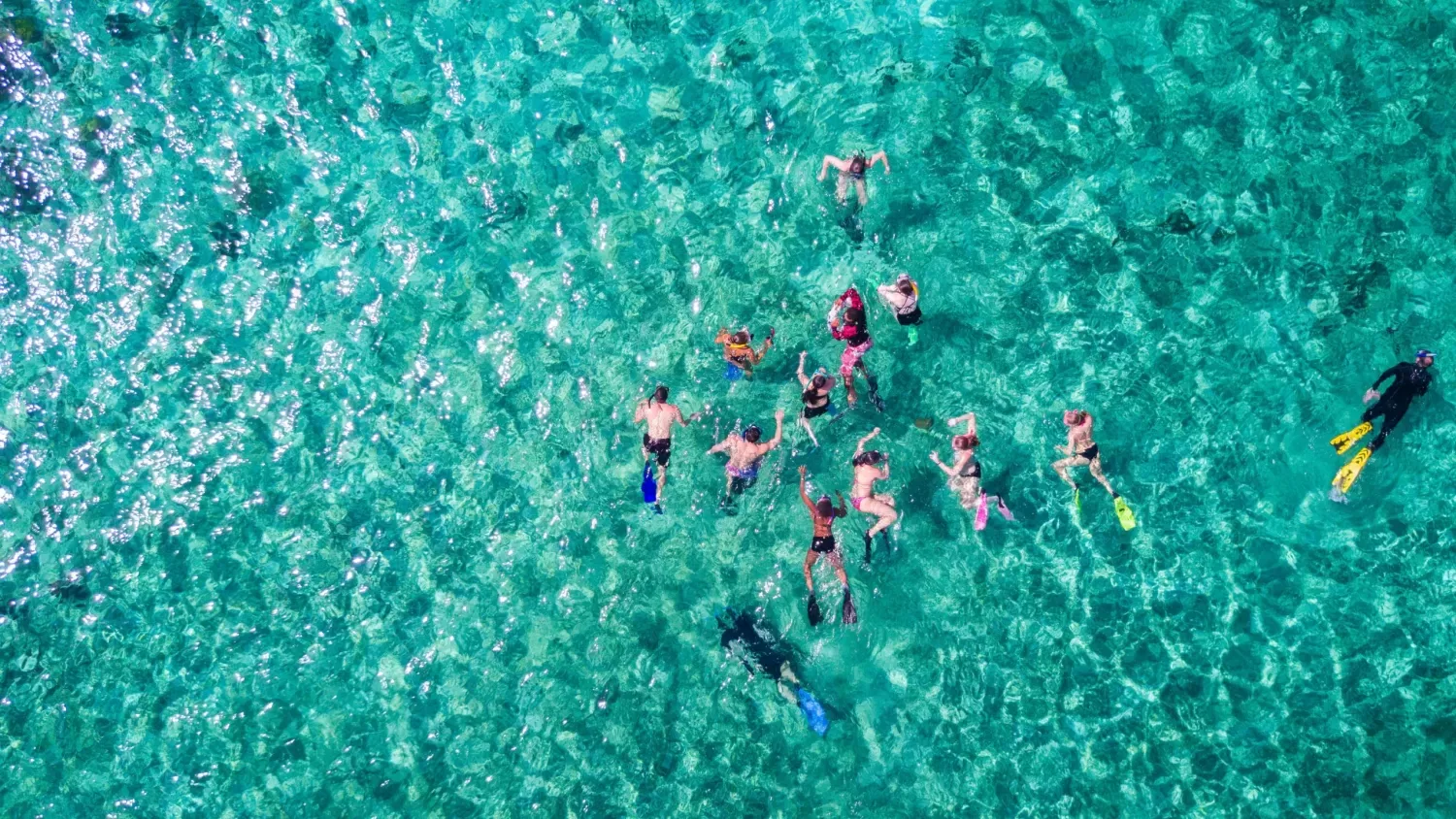 Aerial,Photo,Of,People,Snorkeling,In,Tropical,Waters,In,Belize
