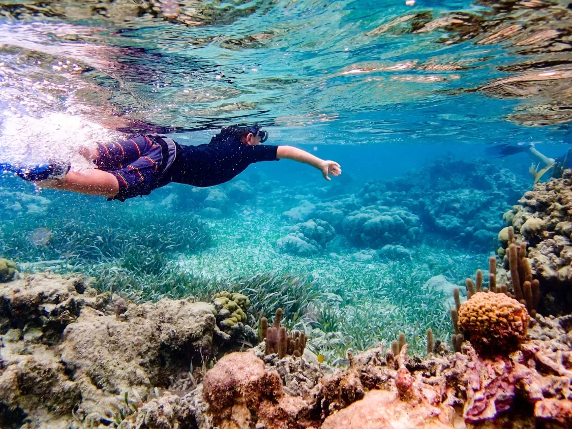 Underwater,Image,Of,7,Year,Old,Boy,Snorkeling,Through,Coral