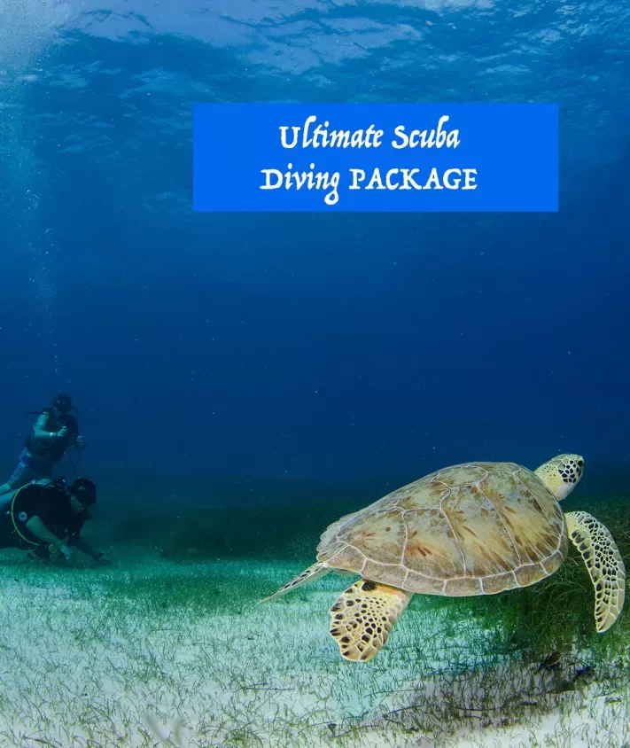 scubapackage