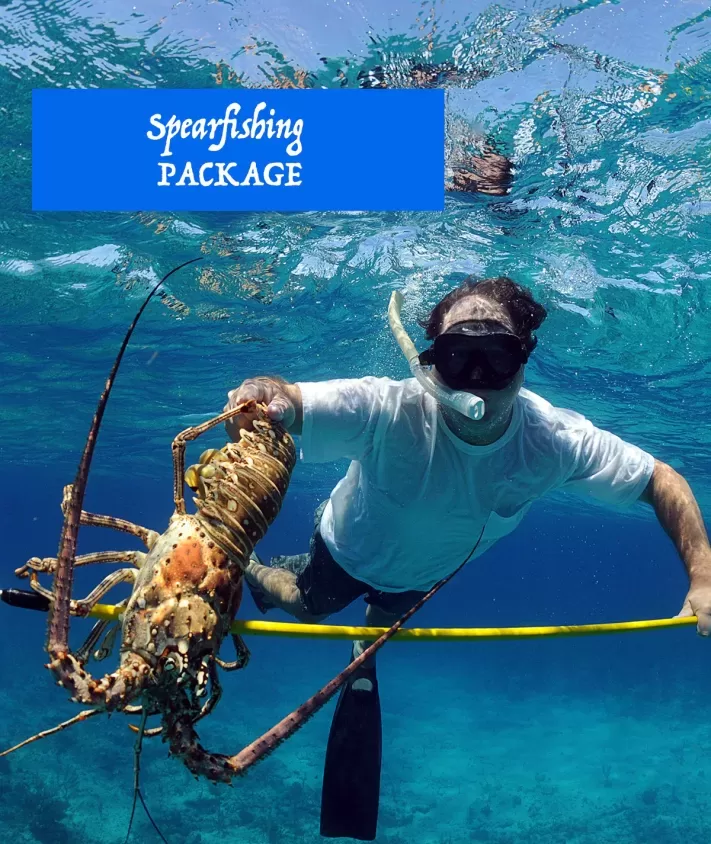 spearfishing-package